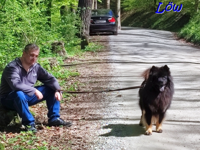 20.4.2025 - Forststrasse erreicht